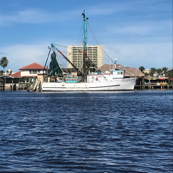 Meet your Posher, Susan - Picture 1 of 1